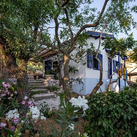 Les Maisons De Pecheurs Sète Exterior foto